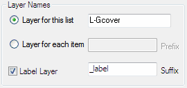Layer Options
